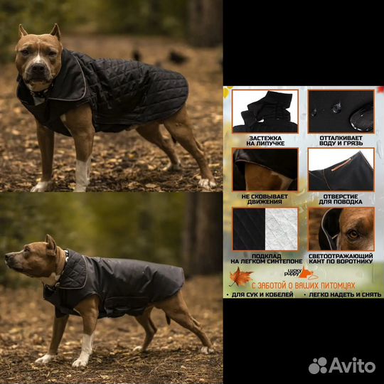 Попона для собак куртка комбенизон новые