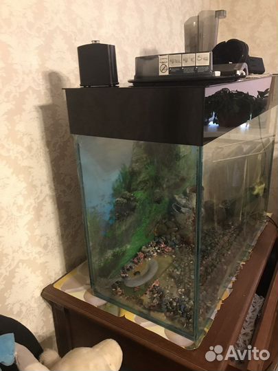 Аквариум