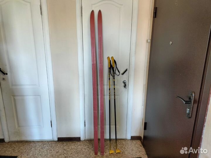 Беговые лыжи Lillehammer step splitkein