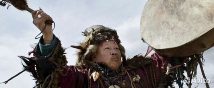 Чай пуэр « Космос шаманов » шмн14941