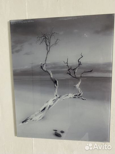 Картины и постеры