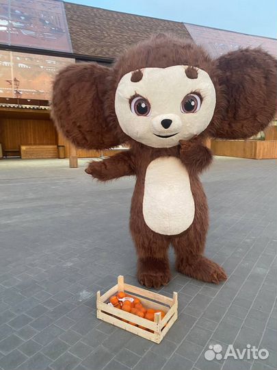 Экспресс поздравление от Ушастика,от Чебурека