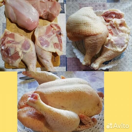 Мясо домашней птицы (курица) -доставка