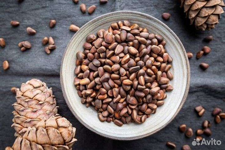 Орех кедровый