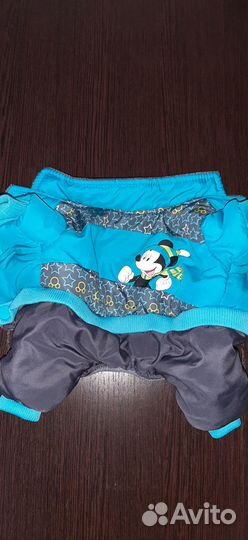 Одежда для собак мелких пород бу