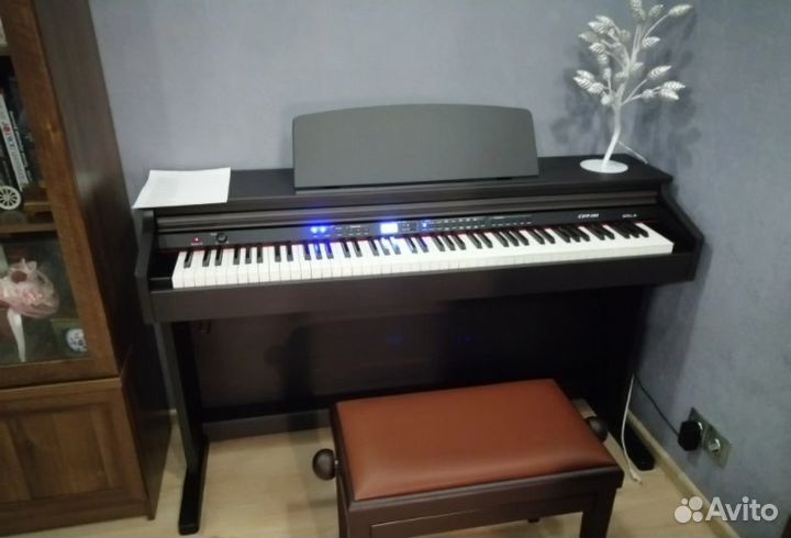 Цифровое пианино Orla CDP 101