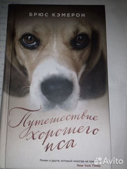 Книги про собак новые