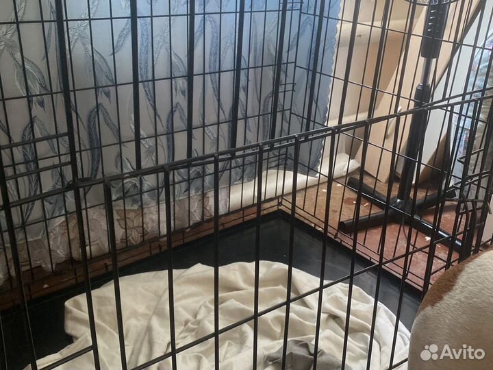 Клетка для собак