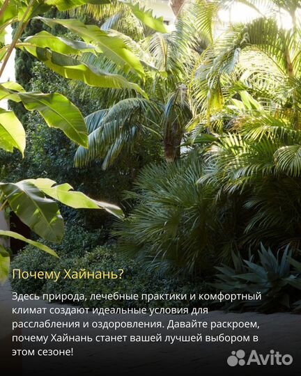 Туры в Хайнань