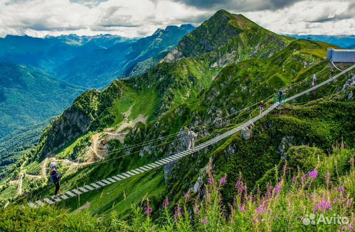 Тур на море Красная П. 7 д, 6 н. питание: all in