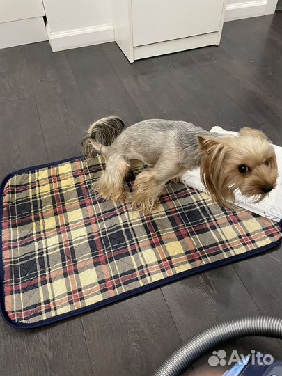 Пелёнки многоразовые для животных