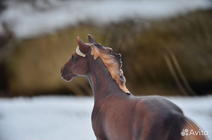 Мустанг Schleich