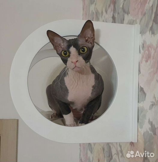 Дизайнерские домики для кошек