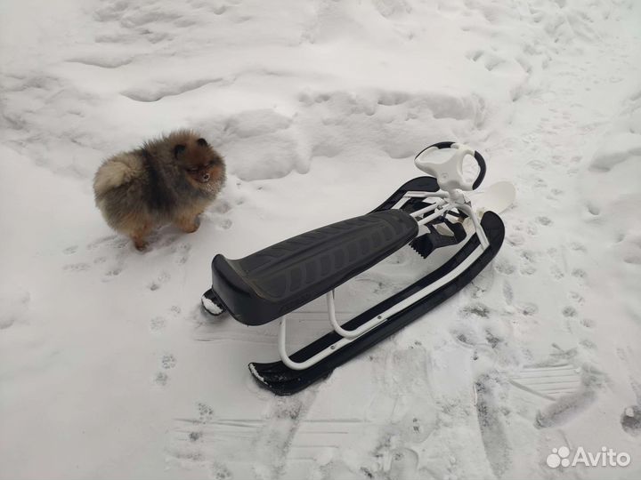 Снегокат Stiga King Size