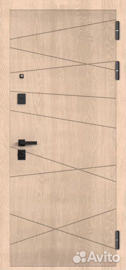 Дверь входная железная