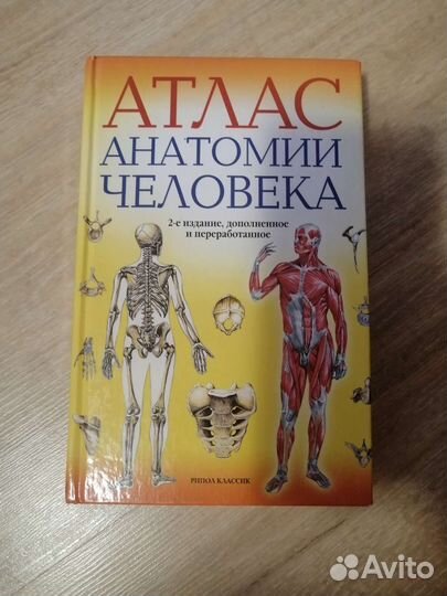 Атлас анатомии человека