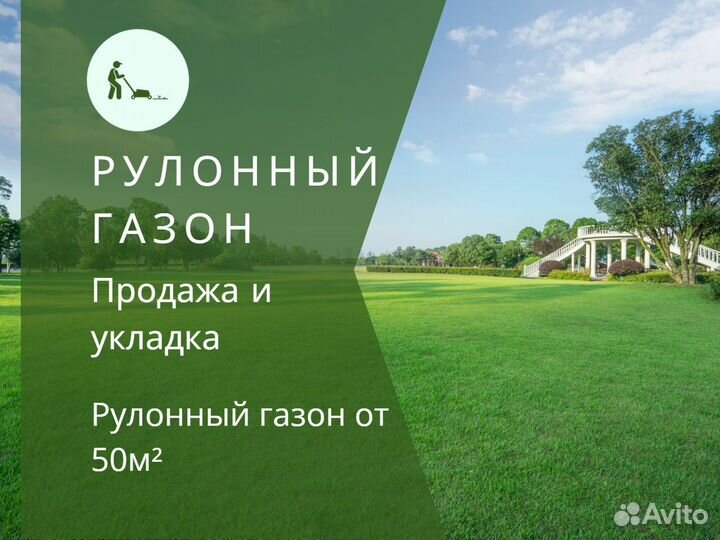 Рулонный газон эконом