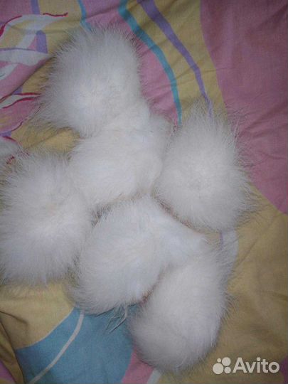 Заичьи хвостики