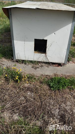 Будка для собак