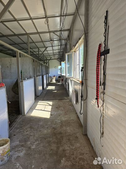 Постой лошадей