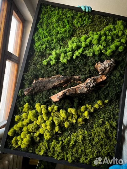 Стабилизированный мох/ картина из мха/ фитопанно
