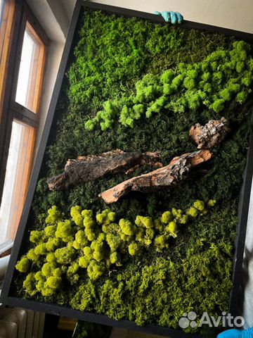 Стабилизированный мох/ картина из мха/ фитопанно