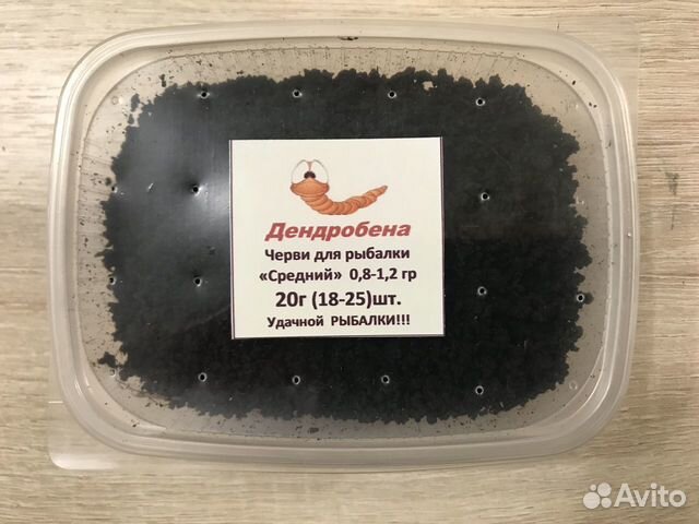 Червь, черви 