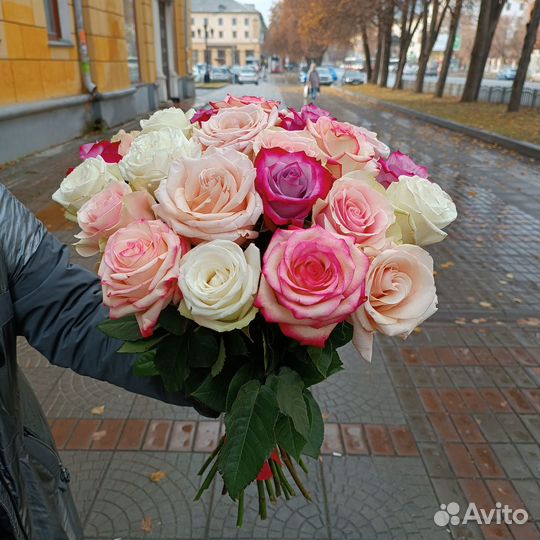 25 роз 60 см. Эквадор микс. Доставка цветов