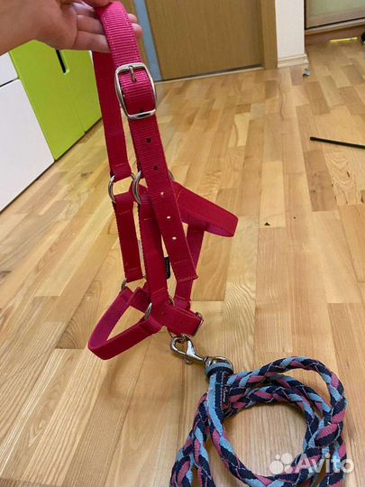 Недоуздок и чомбур