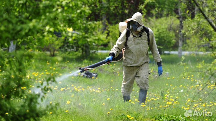 Обработка от клещей кротов комаров борщевика ос