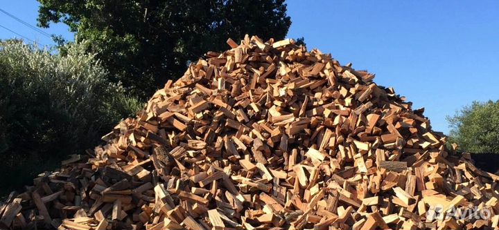 Дрова образцовые