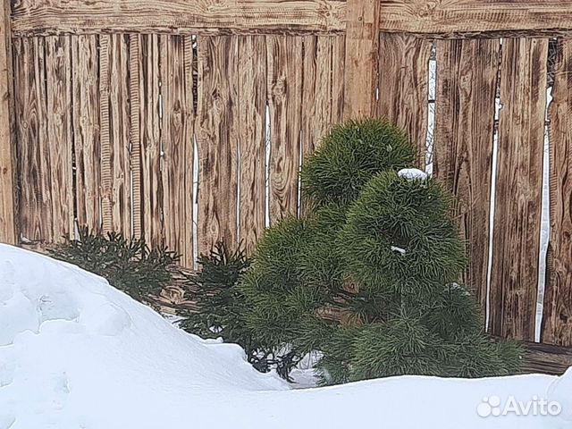 Секционный забор, ограждение купить в Санкт-Петербурге | Товары для ...