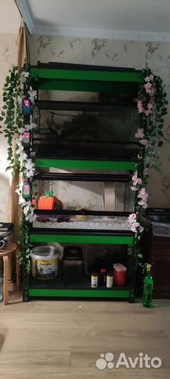 Террариум repti zoo с Крокодиловыми сцинками