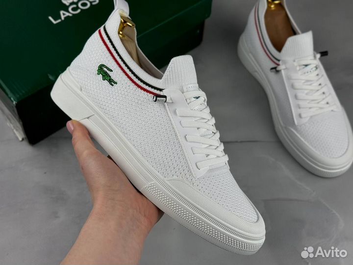 Мужские кеды Lacoste белые на лето