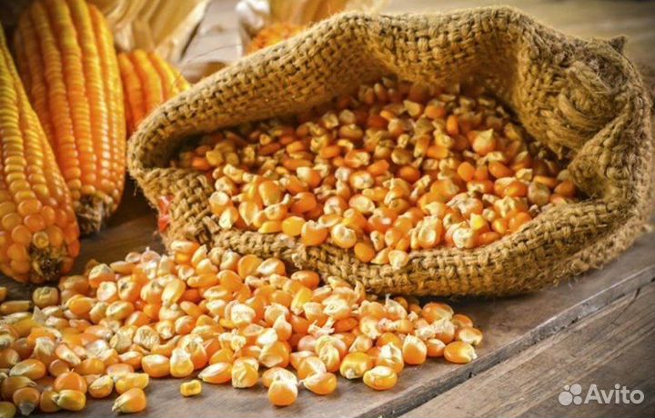 Кукуруза цельная