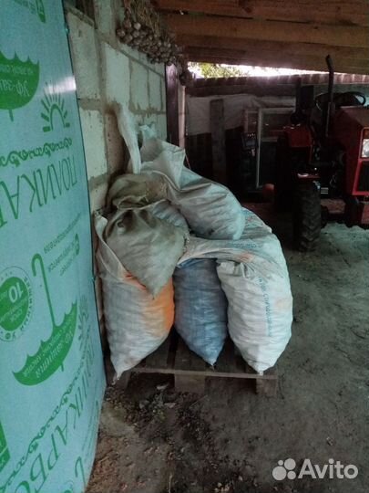 На корм животным