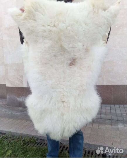 Шкуры овцы козы натуральные