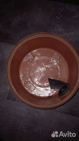 Пылесос Тайфун 600 СССР