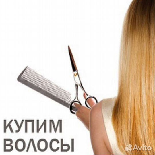 Скупка волос дорого