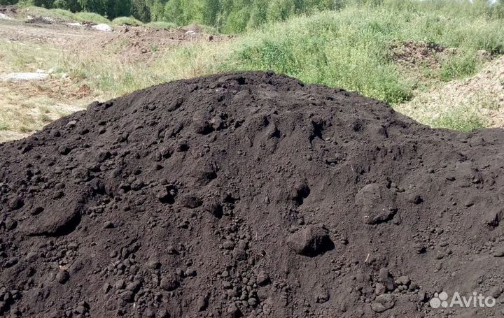 Чернозем плодородный