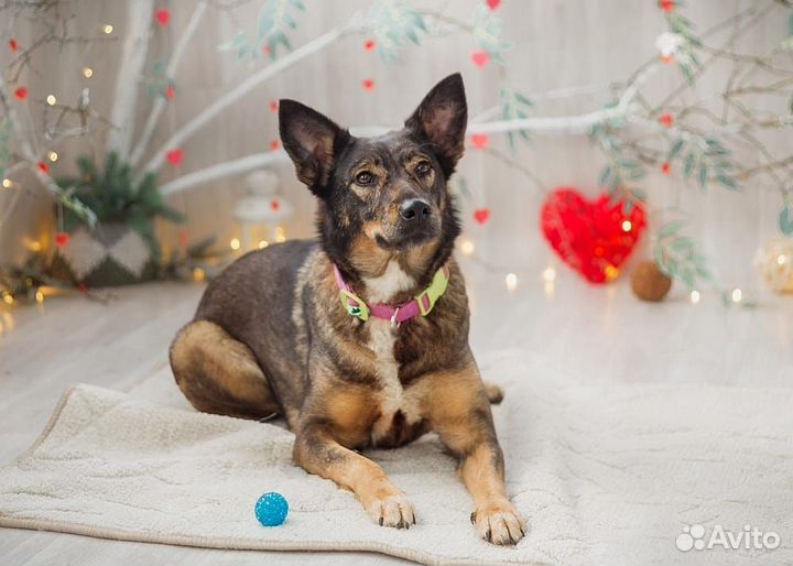 Василиса Прекрасная очень ждет свою семью