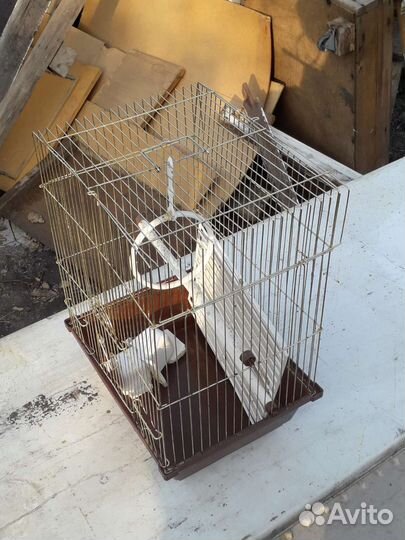 Клетка для попугая