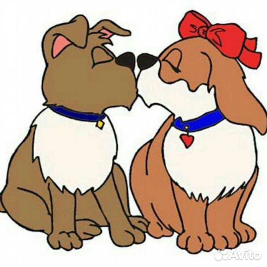 Инструктор по вязке собак