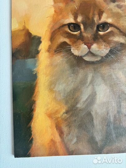 Рыжий котик. Картина маслом