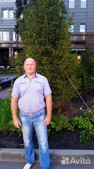 Водитель автомобиля