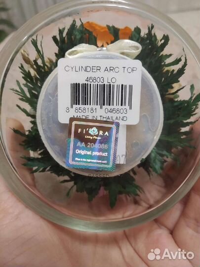 Живые цветы на 5 лет