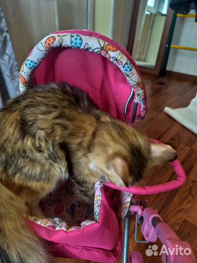 Коляска для кукол котов собачек