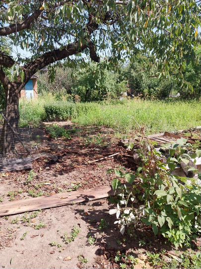 Дом 51,5 м² на участке 6 сот.