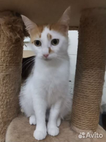 Необыкновенно нежная девочка из приюта