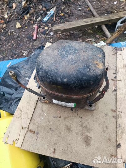 Компрессор для холодильника Атлант С-К 100 N5-02